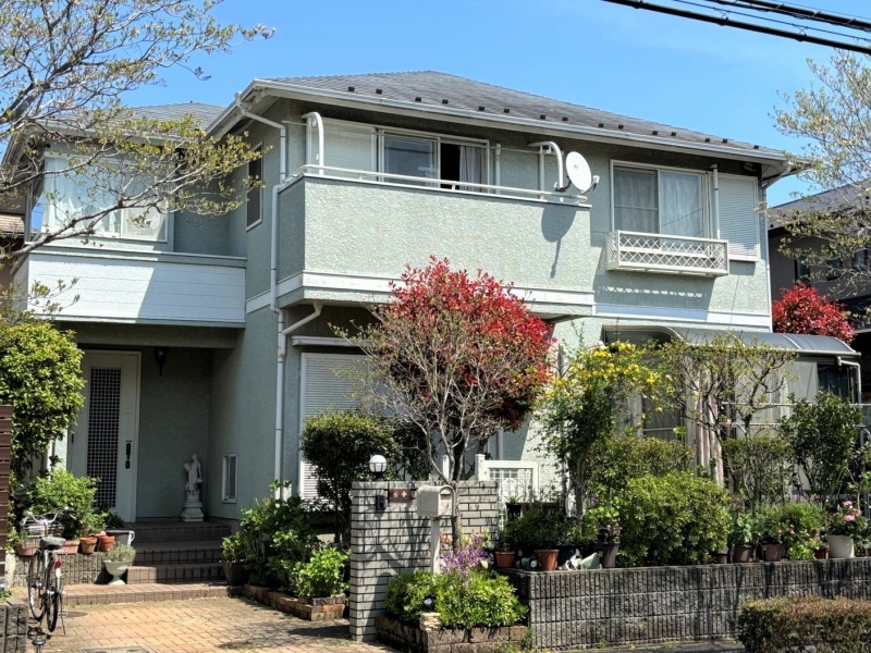 S 13647877 2